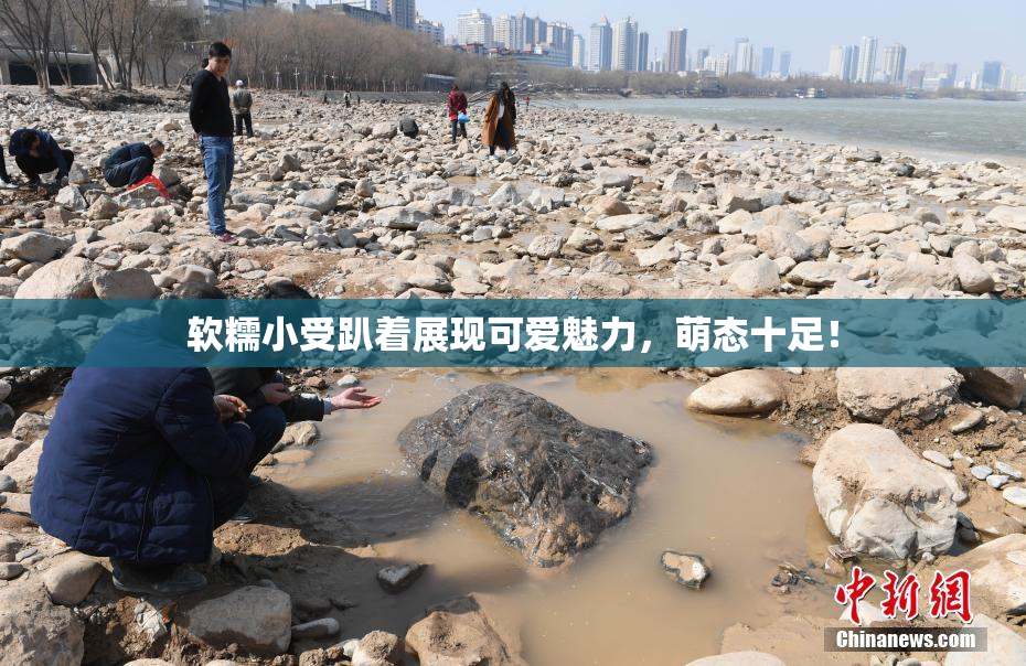 软糯小受趴着展现可爱魅力，萌态十足！