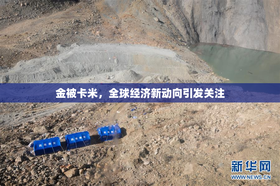 金被卡米，全球经济新动向引发关注
