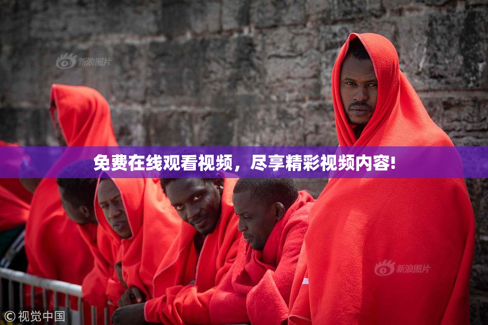 免费在线观看视频，尽享精彩视频内容!