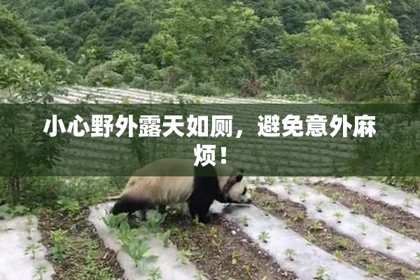 小心野外露天如厕，避免意外麻烦！