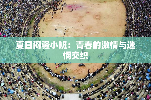 夏日闷骚小班：青春的激情与迷惘交织