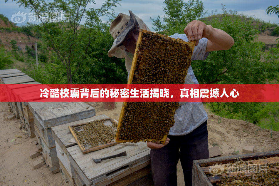 冷酷校霸背后的秘密生活揭晓，真相震撼人心