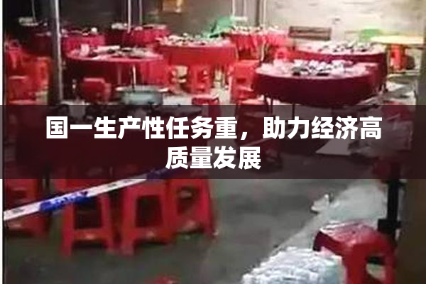 国一生产性任务重，助力经济高质量发展