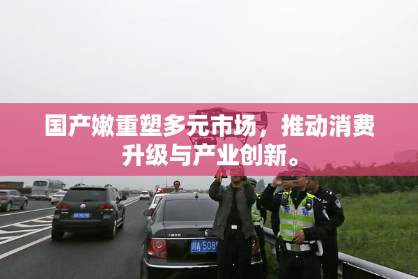 国产嫩重塑多元市场，推动消费升级与产业创新。