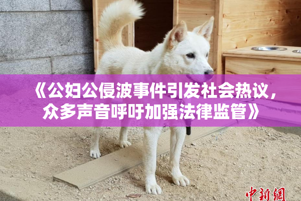 《公妇公侵波事件引发社会热议，众多声音呼吁加强法律监管》