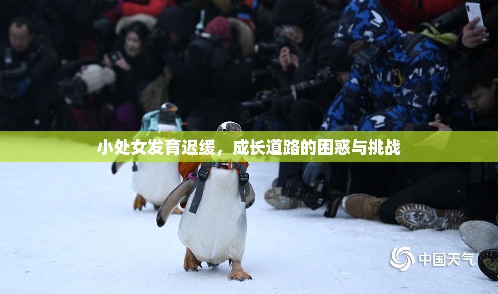 小处女发育迟缓，成长道路的困惑与挑战