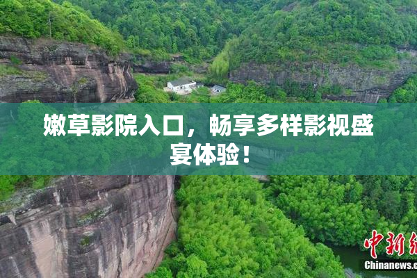 嫩草影院入口，畅享多样影视盛宴体验！