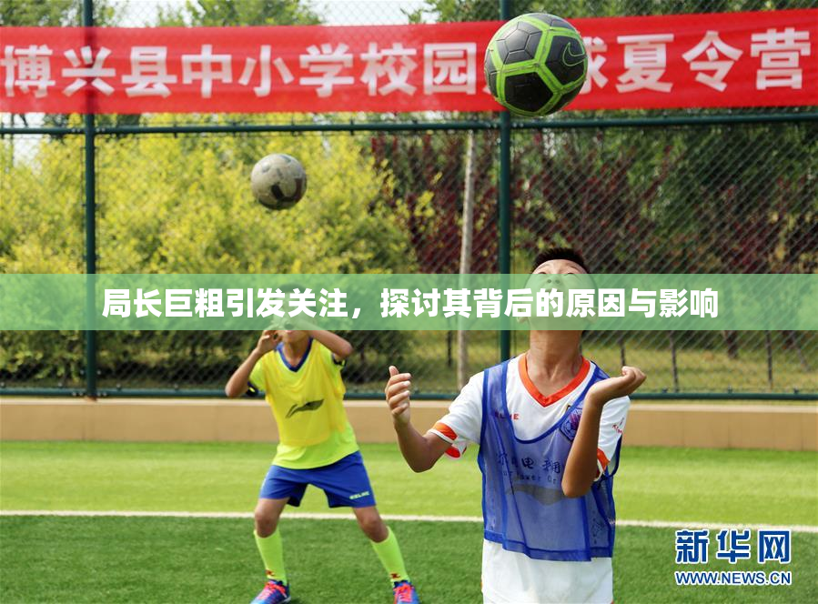 局长巨粗引发关注，探讨其背后的原因与影响