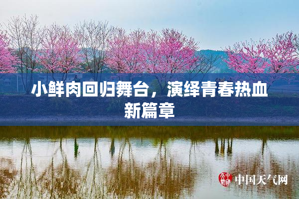 小鲜肉回归舞台，演绎青春热血新篇章