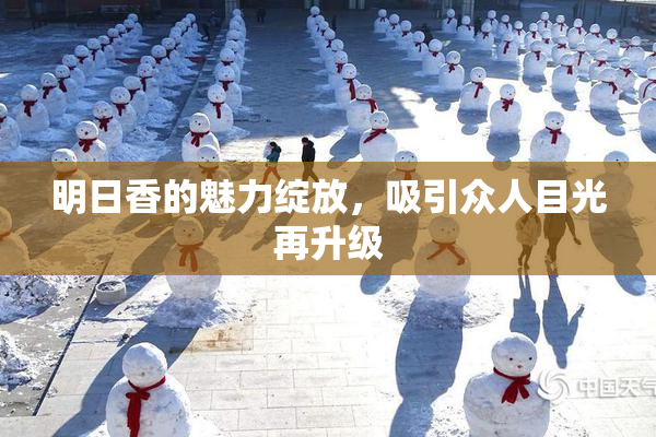 明日香的魅力绽放，吸引众人目光再升级