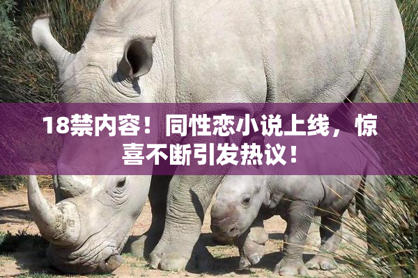 18禁内容！同性恋小说上线，惊喜不断引发热议！