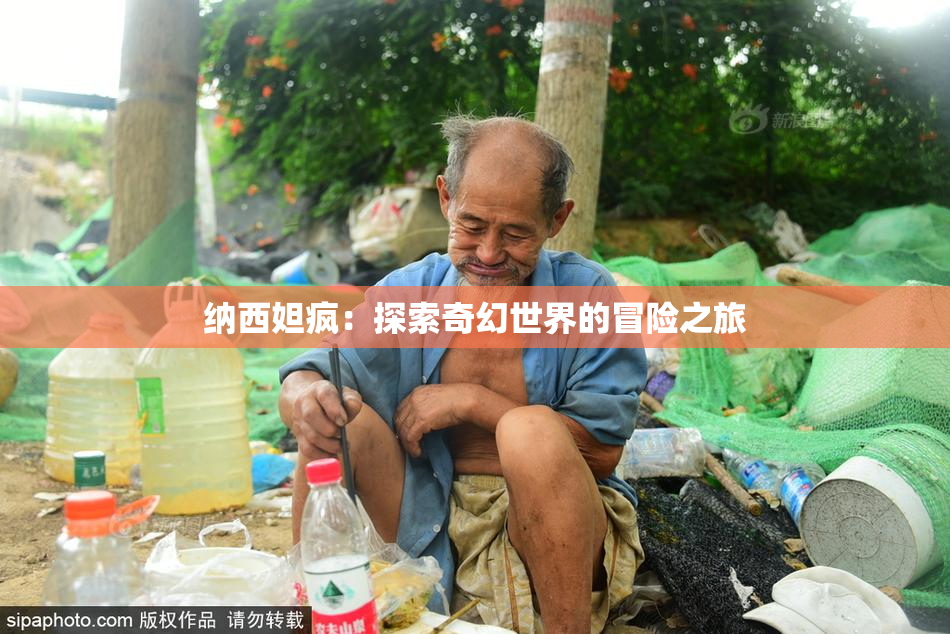 纳西妲疯：探索奇幻世界的冒险之旅