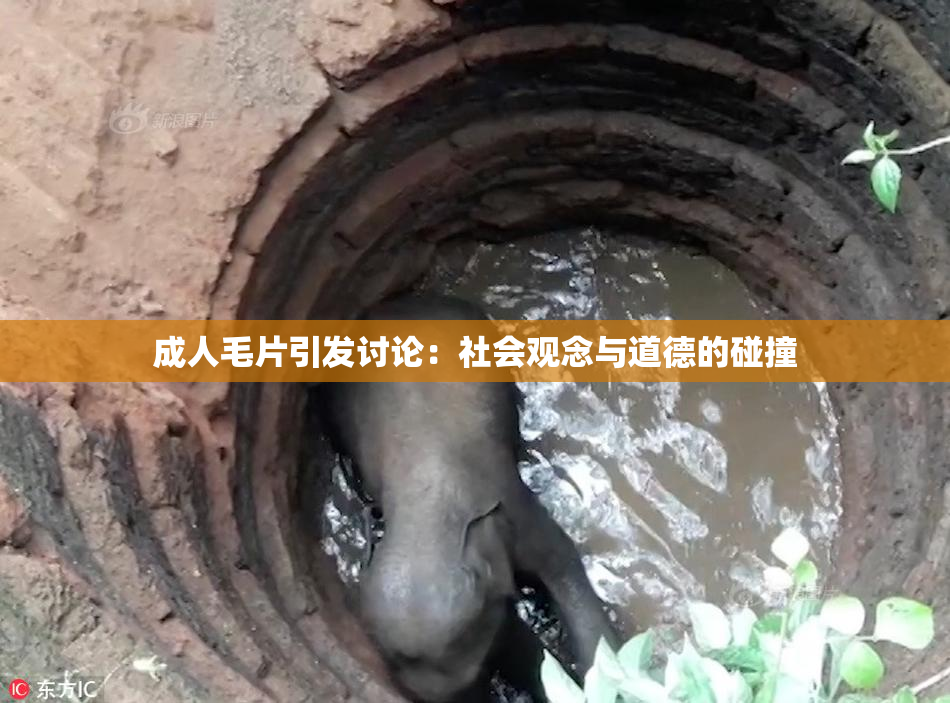 成人毛片引发讨论：社会观念与道德的碰撞
