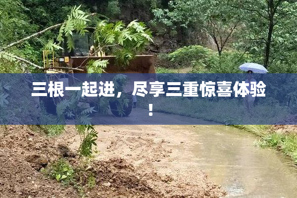 三根一起进，尽享三重惊喜体验！