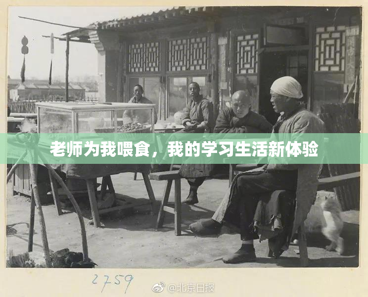 老师为我喂食，我的学习生活新体验