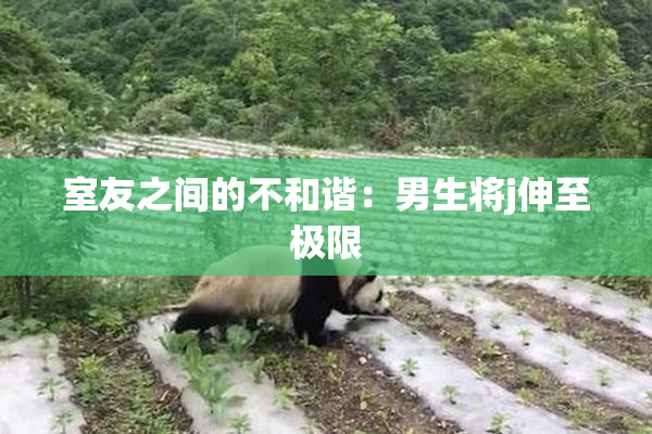 室友之间的不和谐：男生将j伸至极限