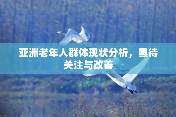 亚洲老年人群体现状分析，亟待关注与改善