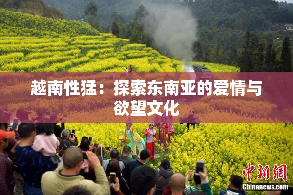 越南性猛：探索东南亚的爱情与欲望文化