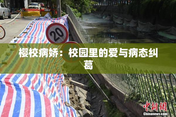 樱校病娇：校园里的爱与病态纠葛