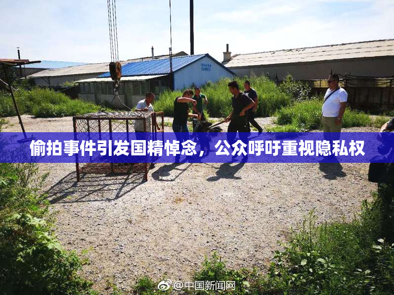 偷拍事件引发国精悼念，公众呼吁重视隐私权