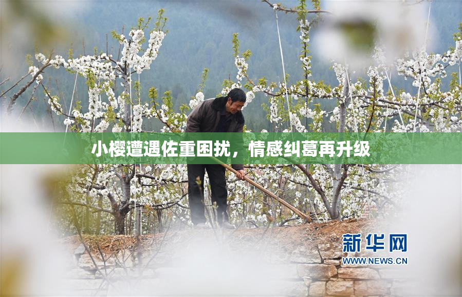 小樱遭遇佐重困扰，情感纠葛再升级