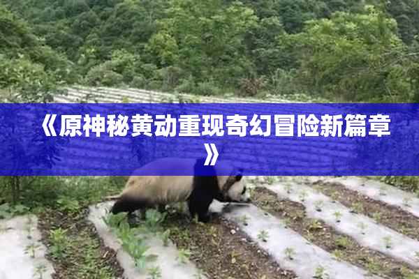 《原神秘黄动重现奇幻冒险新篇章》