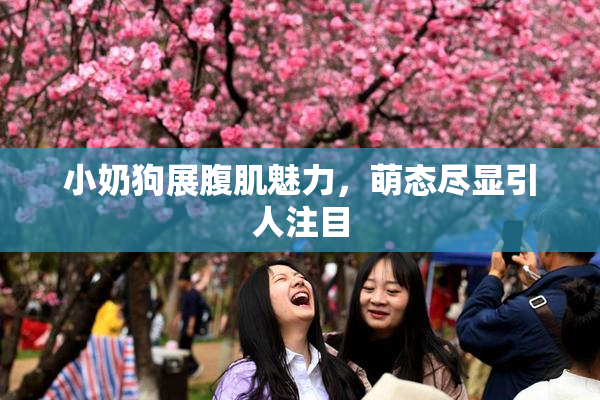 小奶狗展腹肌魅力，萌态尽显引人注目
