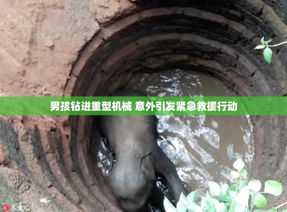 男孩钻进重型机械 意外引发紧急救援行动
