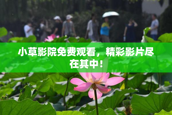 小草影院免费观看，精彩影片尽在其中！