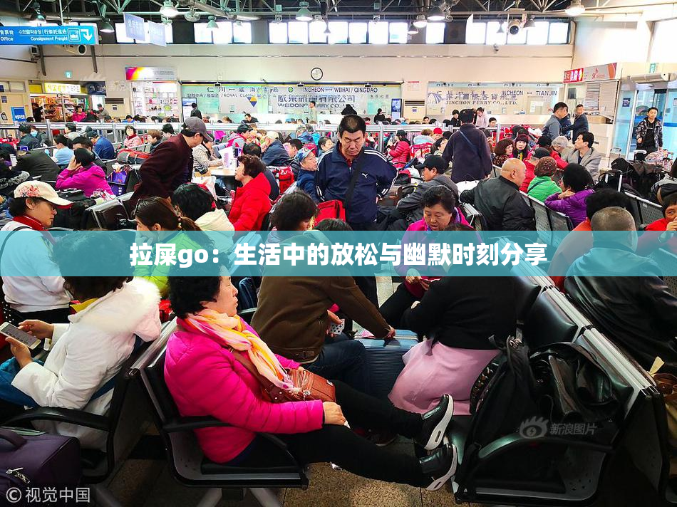 拉屎go：生活中的放松与幽默时刻分享