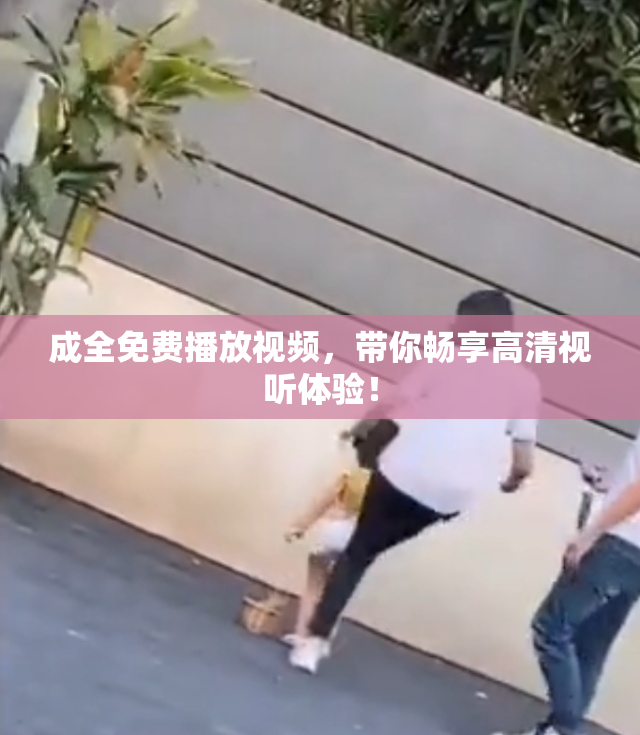 成全免费播放视频，带你畅享高清视听体验！