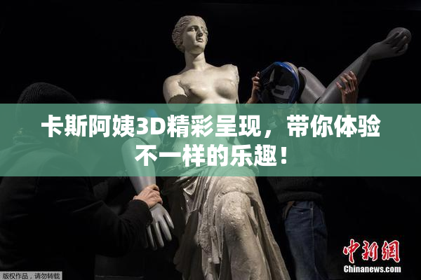 卡斯阿姨3D精彩呈现，带你体验不一样的乐趣！