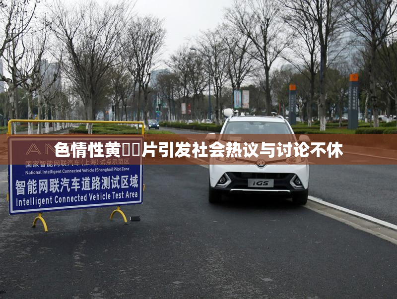 色情性黄❌‌片引发社会热议与讨论不休