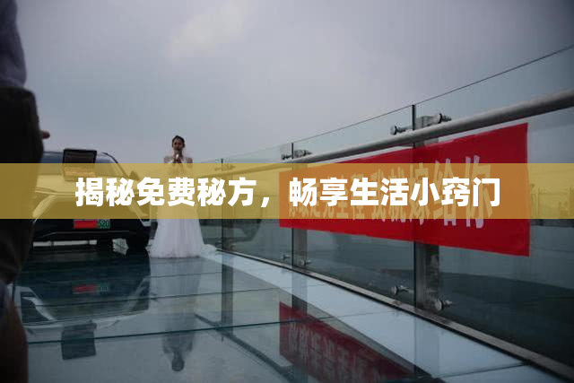 揭秘免费秘方，畅享生活小窍门