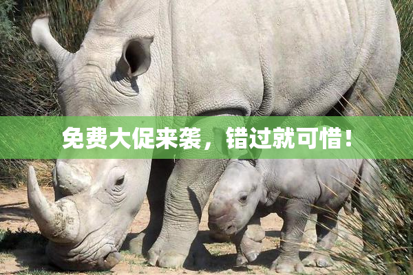 免费大促来袭，错过就可惜！