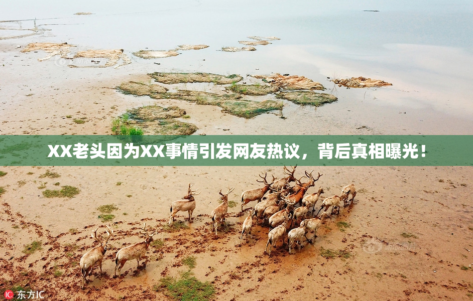 XX老头因为XX事情引发网友热议，背后真相曝光！