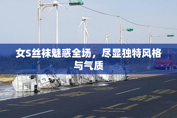 女S丝袜魅惑全场，尽显独特风格与气质