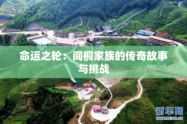 命运之轮：间桐家族的传奇故事与挑战