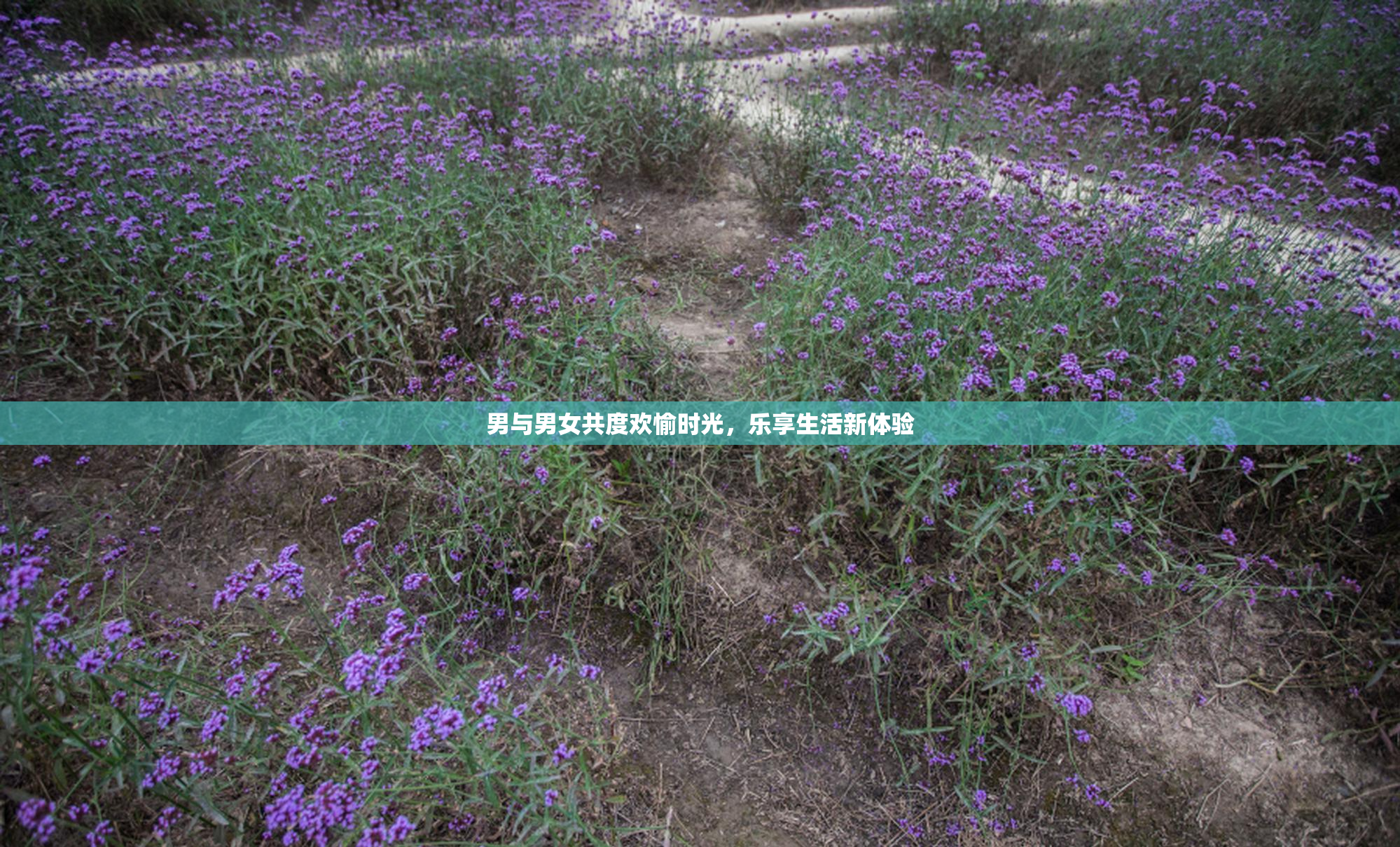 男与男女共度欢愉时光，乐享生活新体验