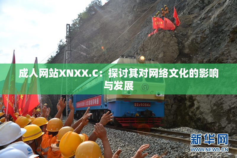 成人网站XNXX.C：探讨其对网络文化的影响与发展