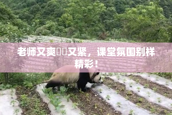 老师又爽❌‌又紧，课堂氛围别样精彩！