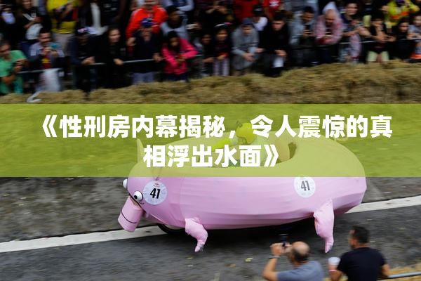 《性刑房内幕揭秘，令人震惊的真相浮出水面》
