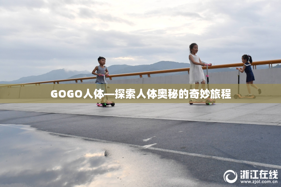 GOGO人体—探索人体奥秘的奇妙旅程