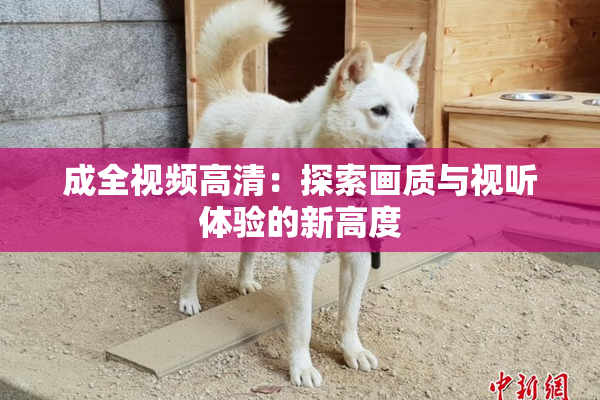 成全视频高清：探索画质与视听体验的新高度
