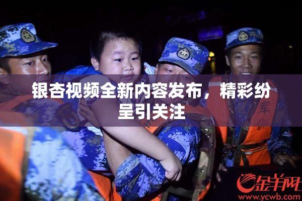 银杏视频全新内容发布，精彩纷呈引关注