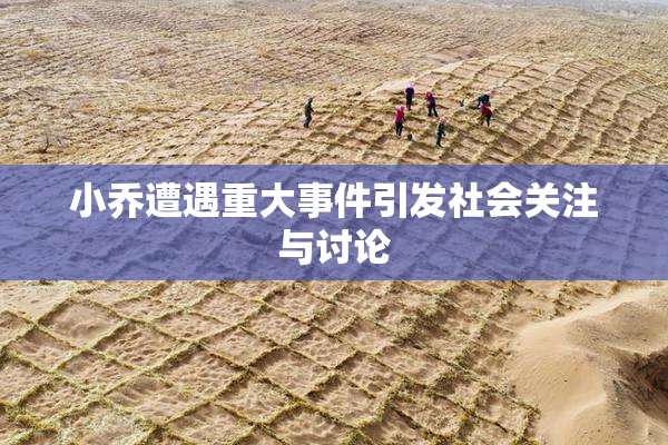 小乔遭遇重大事件引发社会关注与讨论