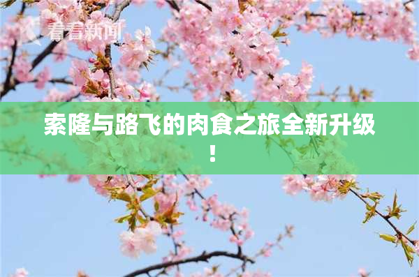 索隆与路飞的肉食之旅全新升级！