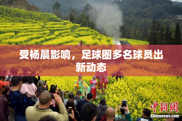 受杨晨影响，足球圈多名球员出新动态