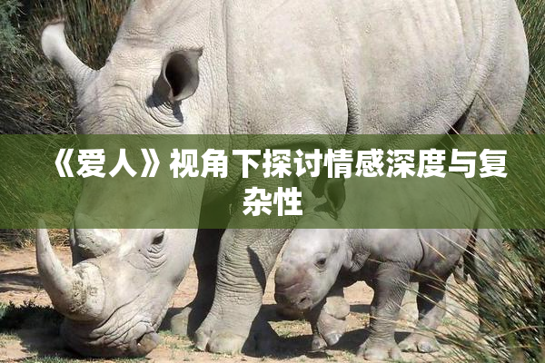 《爱人》视角下探讨情感深度与复杂性
