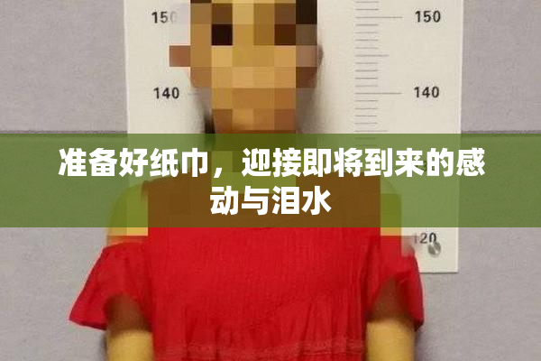 准备好纸巾，迎接即将到来的感动与泪水